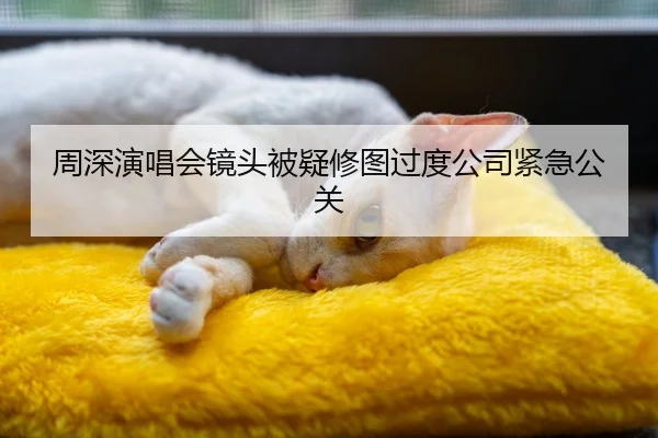 周深演唱会镜头被疑修图过度公司紧急公关